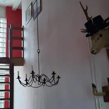 Appartement Knuzzz&brocante Apeldoorn